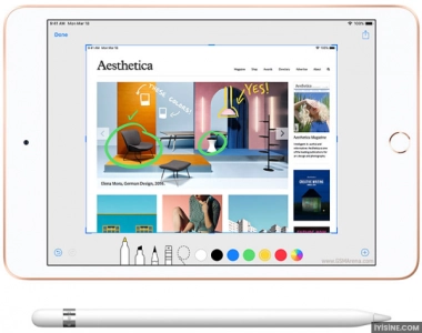 Apple iPad Mini 5 7.9